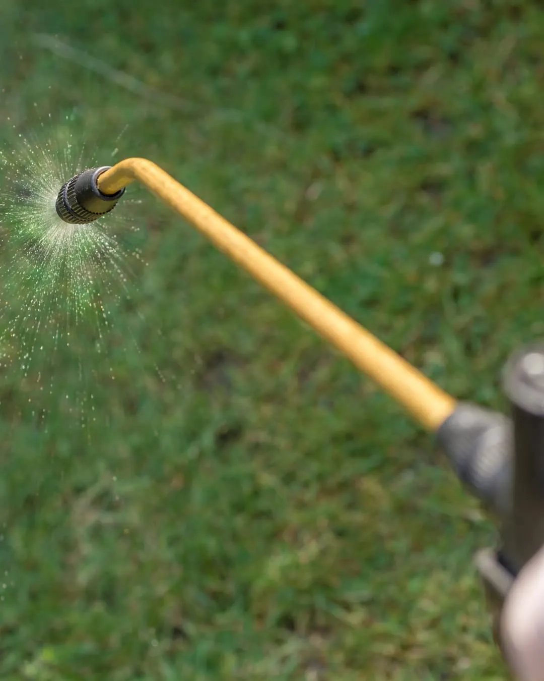 Golden nozzle spraying fine mist over green grass, creating a sparkling effect. Close-up shot with vibrant colors, outdoors.