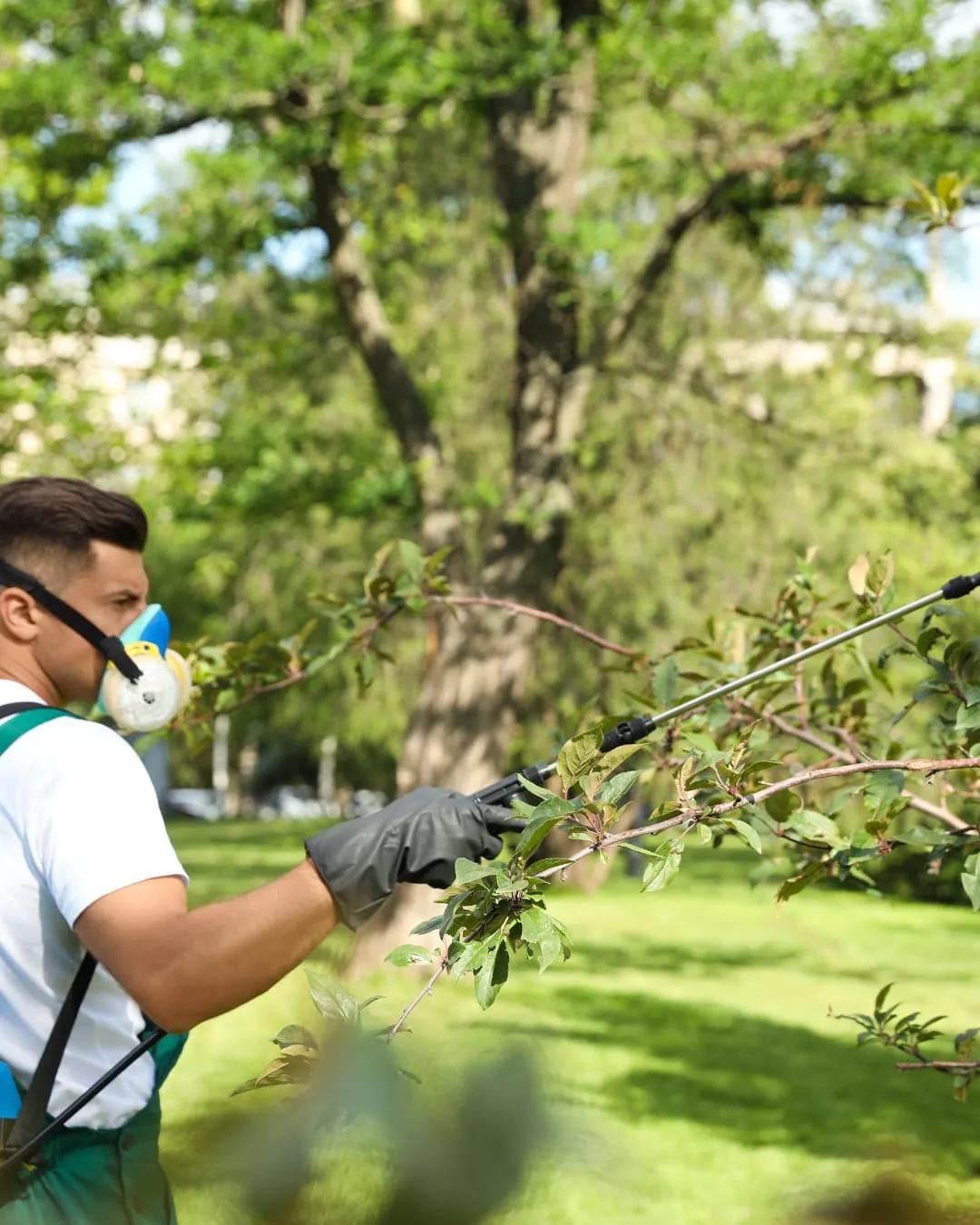 A person in a mask and gloves sprays plants in a lush green park, with a large tree in the background. Bright, sunny atmosphere.