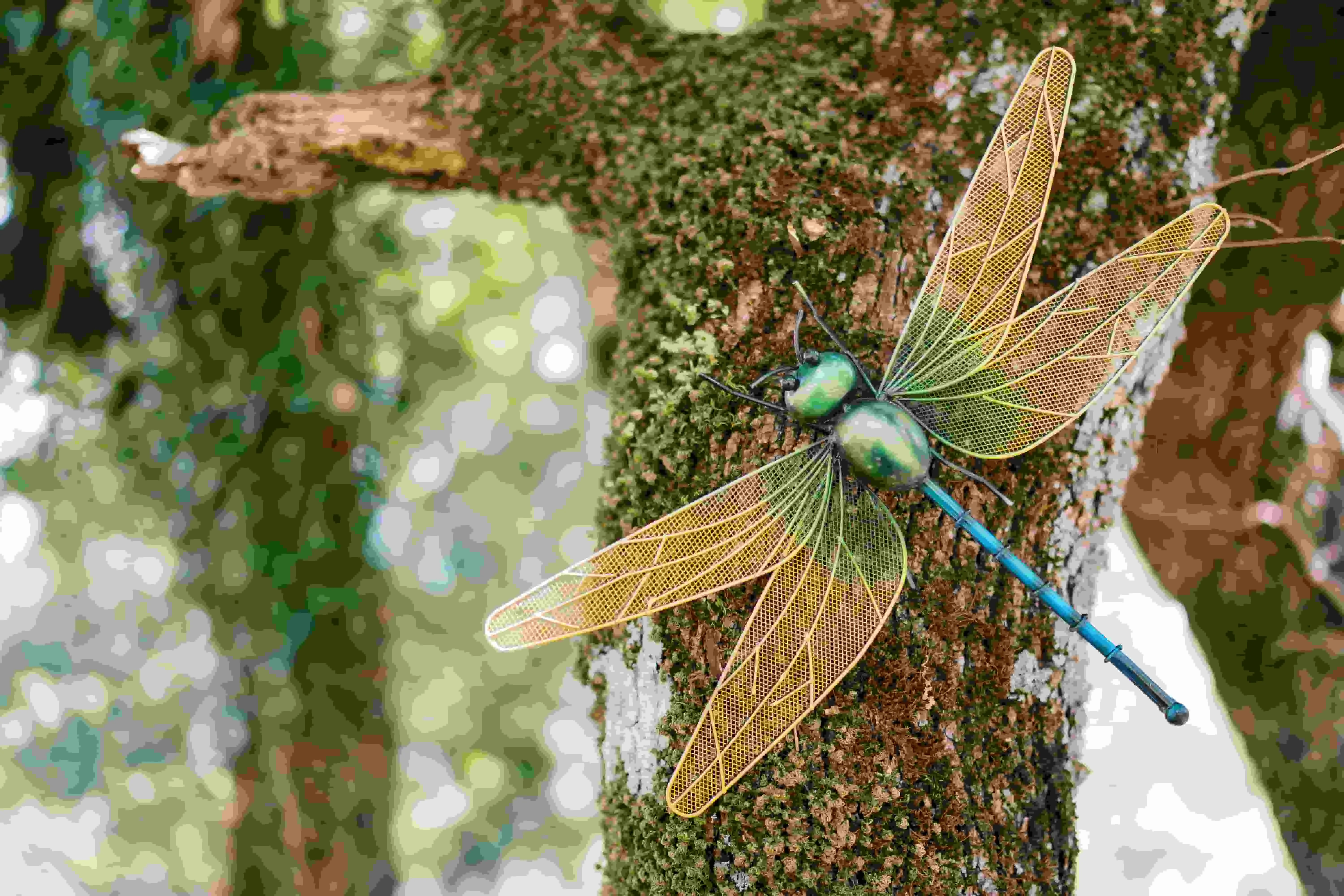 Colorful dragonfly perched on a mossy tree trunk, wings spread wide. Sunlight filters through leaves, creating a vibrant forest backdrop.