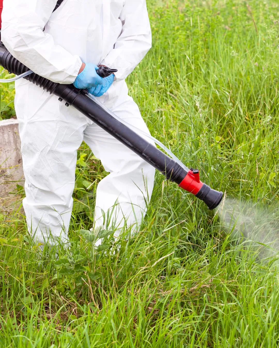 Person in white protective suit and blue gloves spraying herbicide on tall grass. Background is a lush green field.