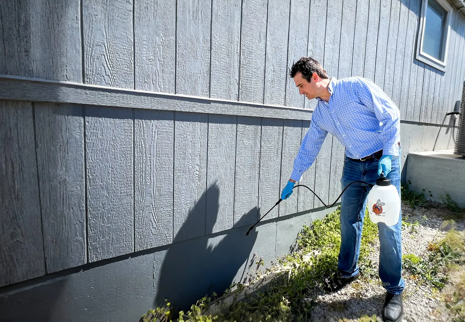 Man in blue shirt sprays pesticide on house exterior. Blue gloves, holding white canister. Sunny day, gray siding, green plants.