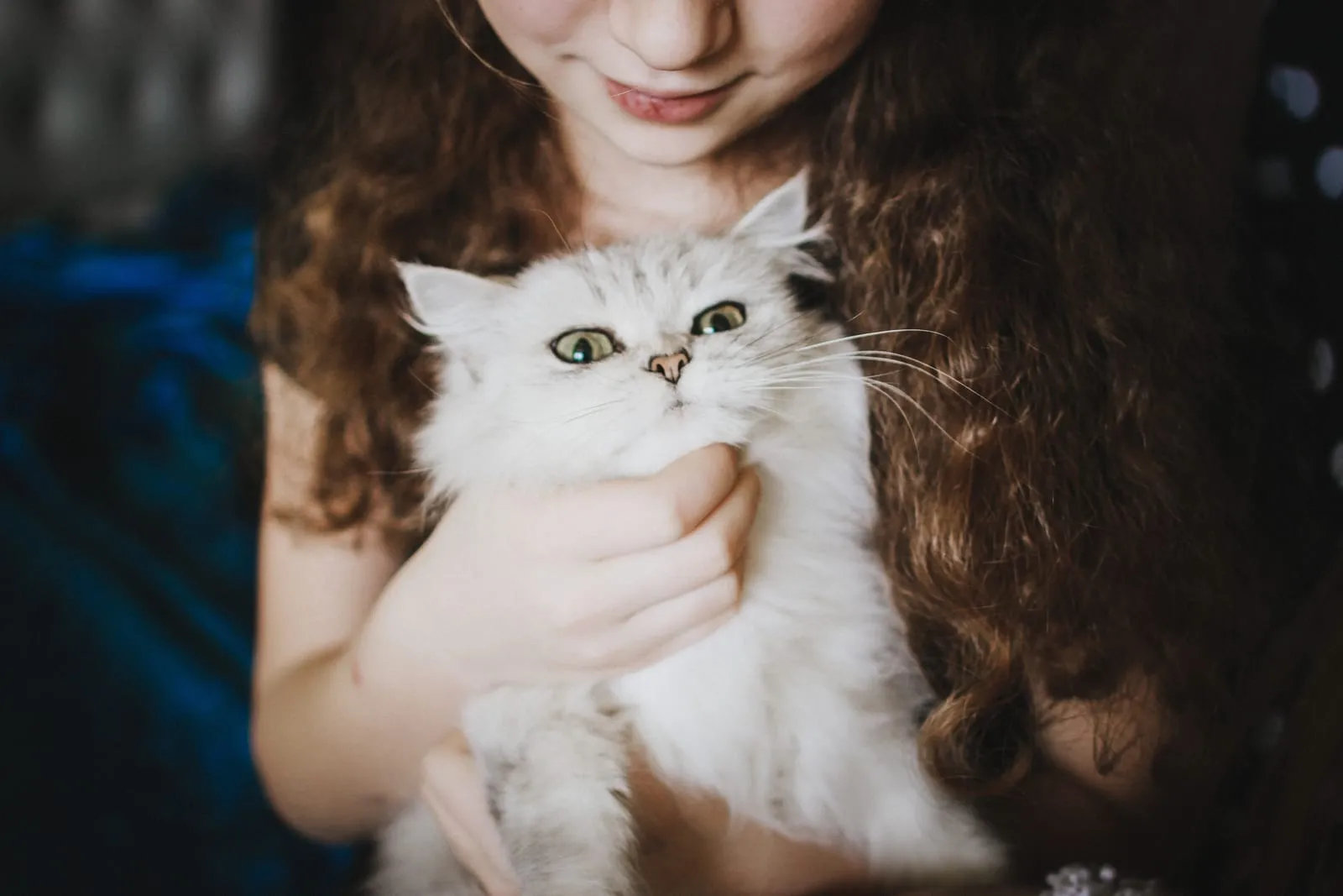 Girl holding a fluffy white cat, both with calm expressions. The background is blurred with blue and black tones.