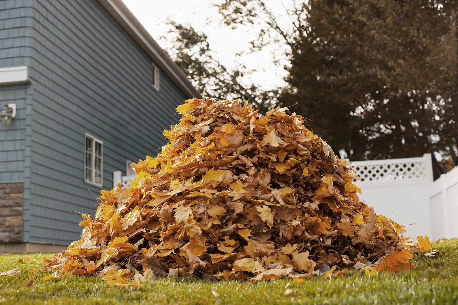 Pile of autumn leaves on grass beside a blue house. White fence and trees in the background, evoking a calm, seasonal atmosphere.