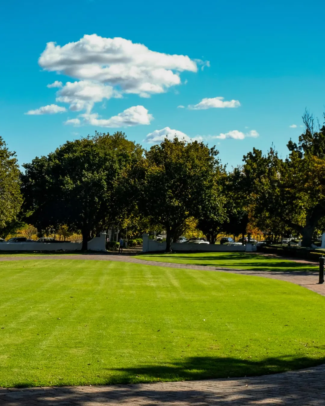 A lush green lawn with trees under a blue sky and clouds. A path curves through the park, with a serene and peaceful atmosphere.