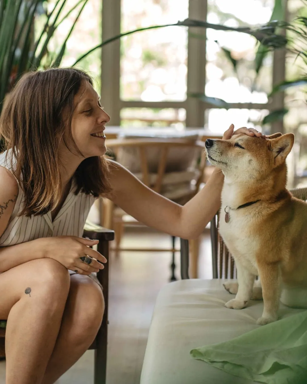 A woman smiles while petting a Shiba Inu on a couch in a cozy room with plants. Natural light filters through large windows, creating a warm mood.