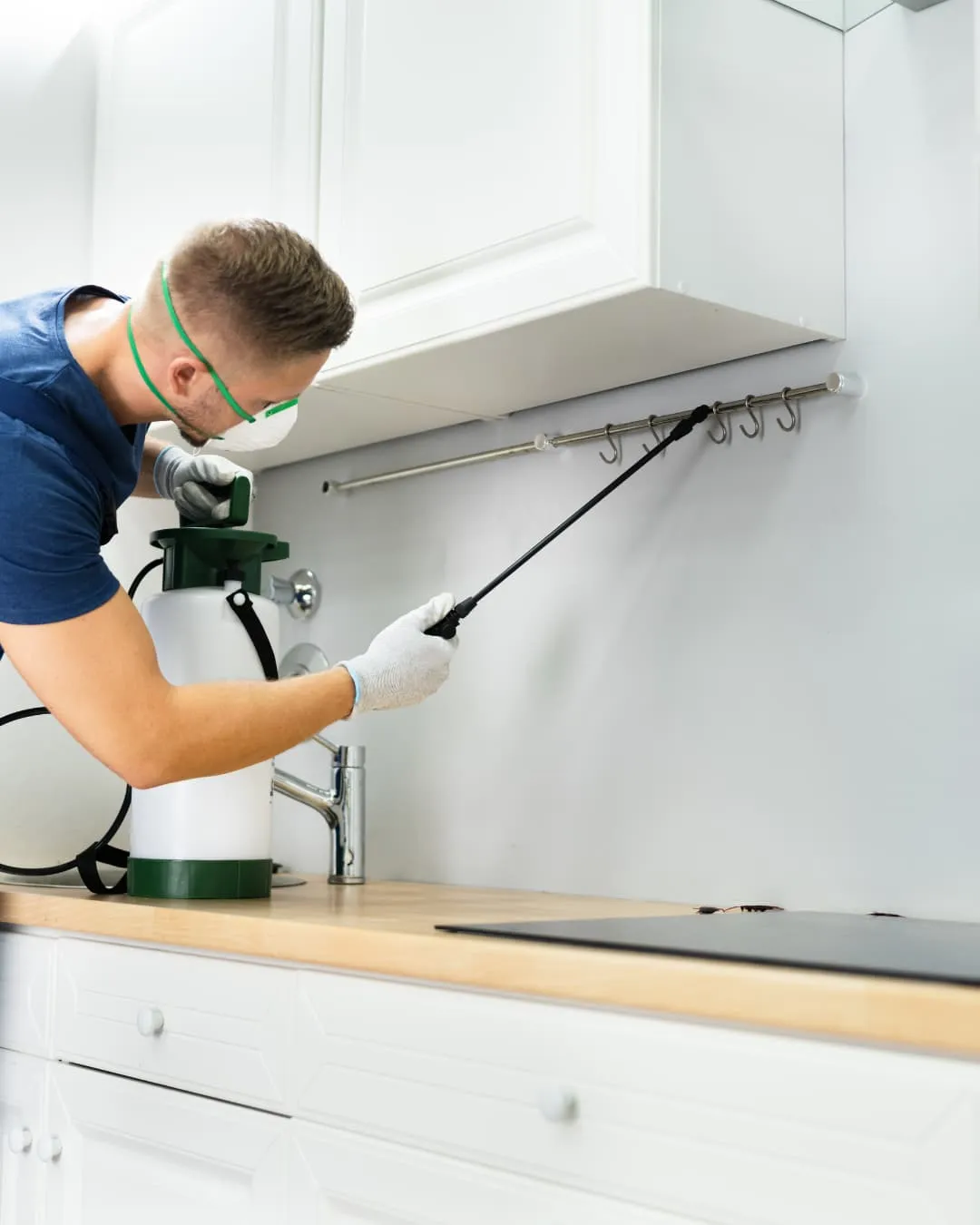 Person wearing safety gear sprays pesticide under a white kitchen cabinet. Wooden countertop, white cabinets, and hooks are visible.