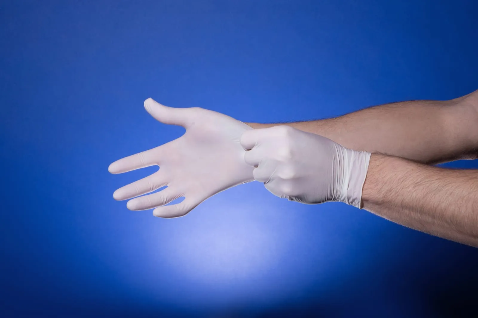 Hands putting on white latex gloves against a blue background, conveying a sense of readiness and cleanliness.