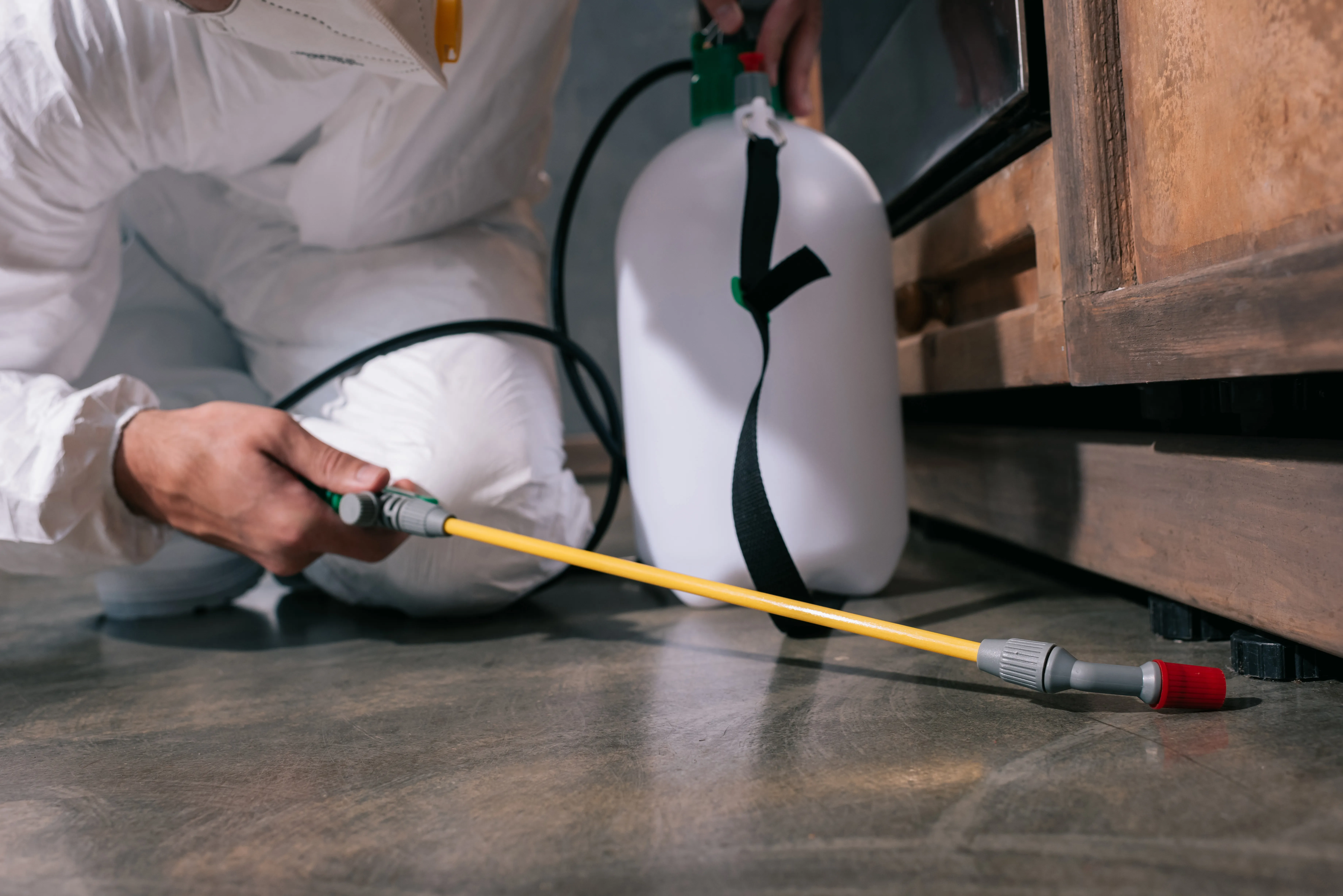 A person in coveralls spraying pest control treatment along the floor and baseboards inside a home.