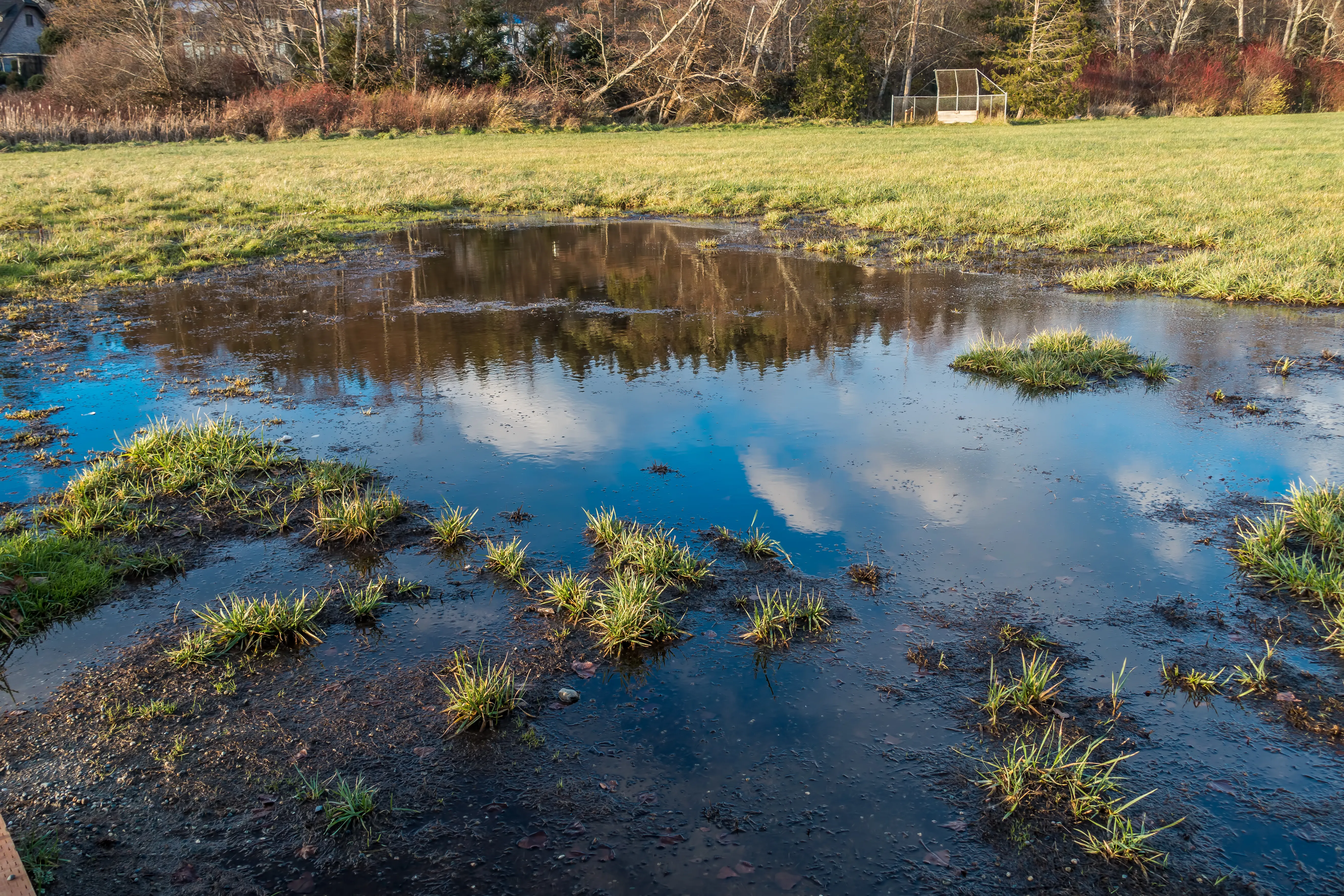 Sky reflected in a puddle of standing water where mosquitoes can breed.